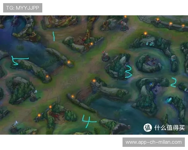 LoL辅助视野布控与团战站位训练：制胜的关键技巧全攻略